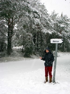 Photo de Stéphanie Ferrat