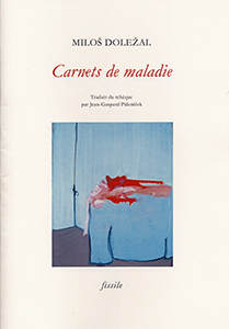 Carnets de maladie.