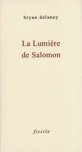 Photo de couverture La Lumière de Salomon